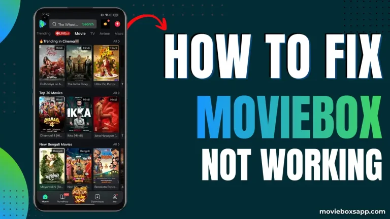 How to Fix MovieBox Not Working